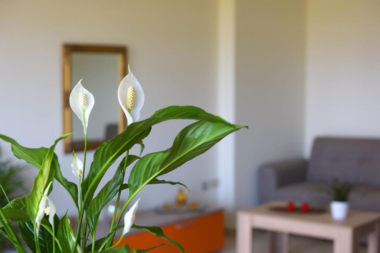 Stelia Luxury Apartments Kalavarda Екстер'єр фото